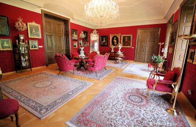 Palácio à venda Kraj Vysočina, Sala de estar
