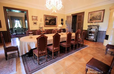 Palácio à venda Kraj Vysočina, Imagem 8/19