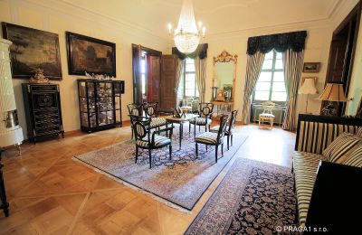 Palácio à venda Kraj Vysočina, Imagem 9/19