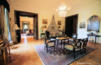 Palácio à venda Kraj Vysočina, Imagem 10/19