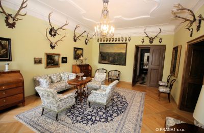 Palácio à venda Kraj Vysočina, Imagem 13/19