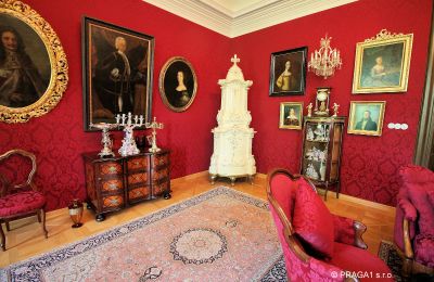 Palácio à venda Kraj Vysočina, Antiguidades