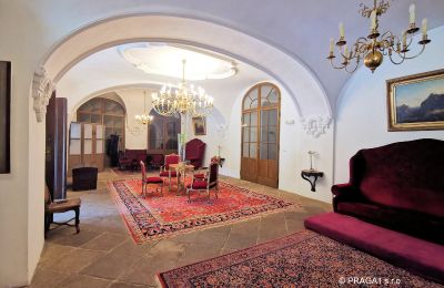Palácio à venda Kraj Vysočina, Hall de entrada