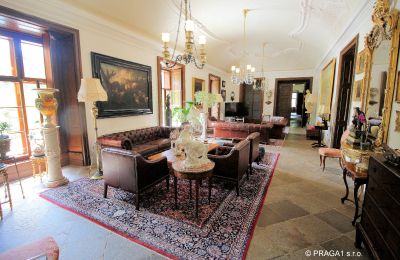 Palácio à venda Kraj Vysočina, Grande salão