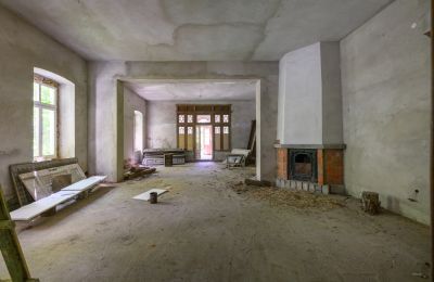Casa senhorial à venda Lubiatów, Lodzkie, Grande salão