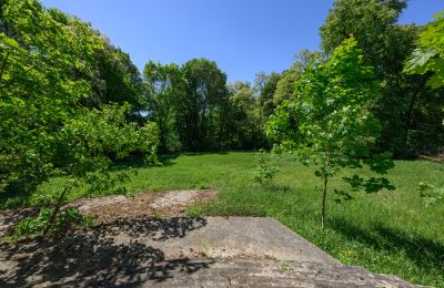 Casa senhorial à venda Lubiatów, Lodzkie, Jardim palaciano