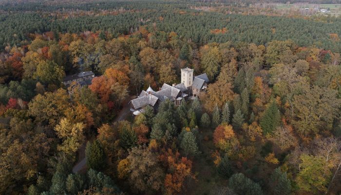Palácio à venda Sośnie, Wielkopolskie,  Polónia