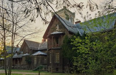 Palácio à venda Sośnie, Jana Sztolcmana 1, Grande Polónia, Imagem 7/8