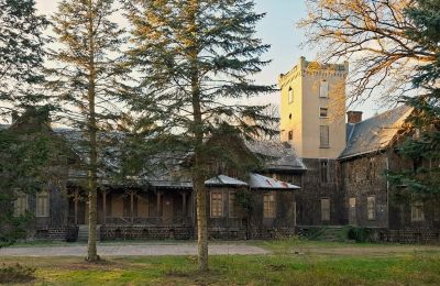 Palácio à venda Sośnie, Jana Sztolcmana 1, Grande Polónia, Imagem 8/8