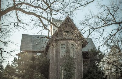 Palácio à venda Sośnie, Jana Sztolcmana 1, Wielkopolskie, Imagem 4/7