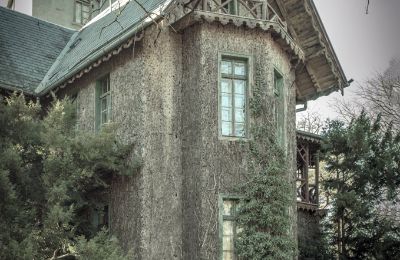 Palácio à venda Sośnie, Jana Sztolcmana 1, Wielkopolskie, Imagem 6/7