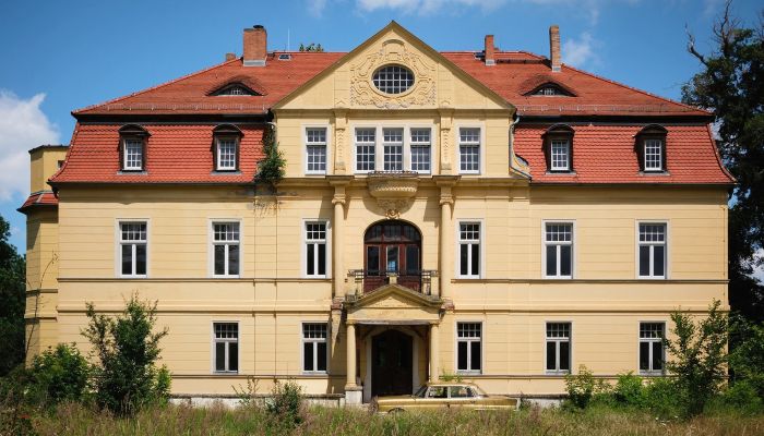 Palácio neo-barroco no centro da Alemanha