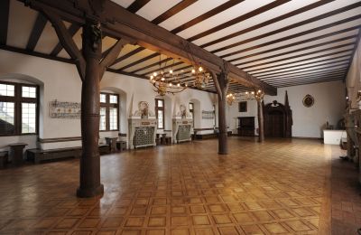 Palácio à venda 97453 Schonungen, Ernst Sachs Straße 6, Baviera, Rittersaal