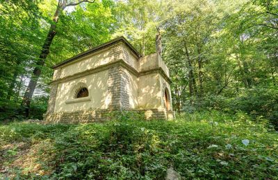 Casa senhorial à venda Poręba Żegoty, Ruiny Dworu Szembeków, Malopolskie, Imagem 17/20