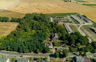 Casa senhorial à venda Rogoźno, Dwór w Studzieńcu 28, Wielkopolskie, Localização da propriedade