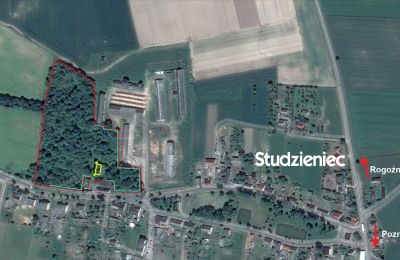 Casa senhorial à venda Rogoźno, Dwór w Studzieńcu 28, Wielkopolskie, Propriedade