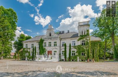 Casa senhorial Pstrokonie, Lodzkie