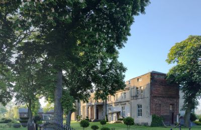 Casa senhorial à venda Orłów-Parcel, Lodzkie, Propriedade