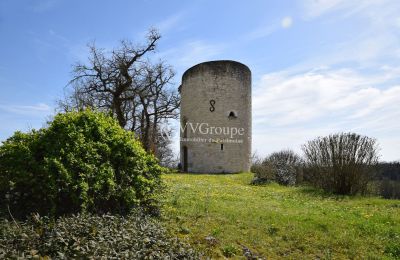 Palácio à venda Monflanquin, Nova Aquitânia, Torre de observação