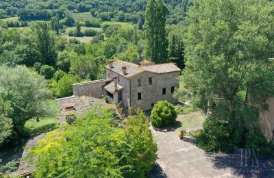 Casa senhorial à venda 06014 Montone, Úmbria, Imagem 35/36