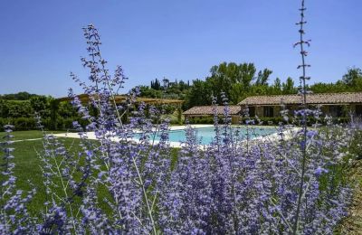 Casa de campo à venda Montepulciano, Toscana, Imagem 17/17