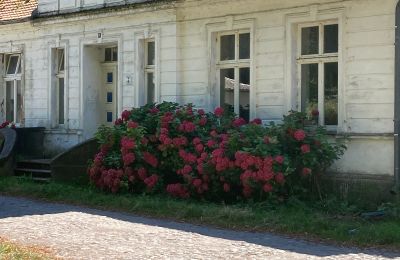 Casa senhorial à venda 18556 Zürkvitz,  Zürkwitzer Str. 15, Mecklemburgo-Pomerânia Ocidental, Imagem 20/23