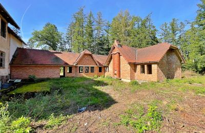 Casa de campo à venda Zegrze Pomorskie, Zachodniopomorskie, Imagem 3/7