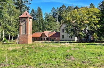 Casa de campo à venda Zegrze Pomorskie, Zachodniopomorskie, Imagem 6/7