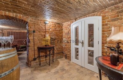 Casa senhorial à venda Naruszewo, Mazowieckie, Imagem 22/25