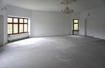 Castelo à venda Zagórzany, Malopolskie, Interior 1