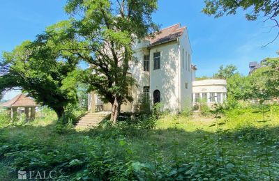 Villa histórica à venda 99510 Apolda, Lessingstraße 62, Turíngia, Propriedade