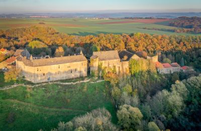 Palácio à venda Roussy-le-Bourg, Grande Leste, Localização da propriedade
