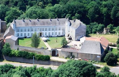 Palácio à venda Roussy-le-Bourg, Grande Leste, Château de Roussy-Comté