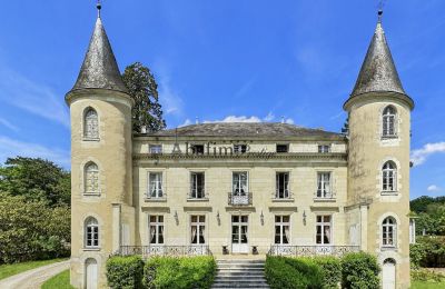 Palácio à venda Centro-Val de Loire, Vista frontal