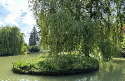 Palácio à venda Centro-Val de Loire, Jardim palaciano