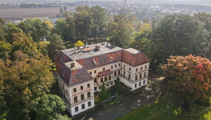 Palácio à venda Wojnowice, Slaskie,  Polónia