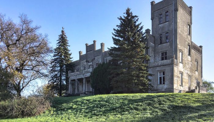 Palácio à venda Górki Dąbskie, Kujawsko-pomorskie,  Polónia
