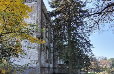 Palácio à venda Górki Dąbskie, Pałac w Górkach Dąbskich, Kujawsko-pomorskie, Imagem 13/22