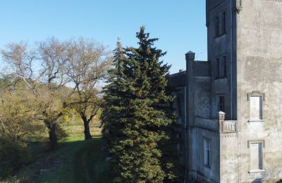 Palácio à venda Górki Dąbskie, Pałac w Górkach Dąbskich, Kujawsko-pomorskie, Torre de observação