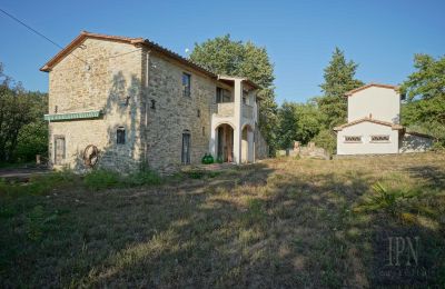 Propriedade histórica à venda 06014 Montone, Úmbria, Imagem 13/35