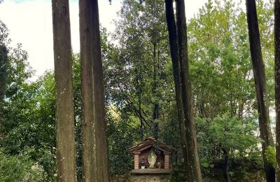 Mosteiro à venda Pescia, Toscana, Imagem 30/47