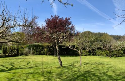 Casa de campo à venda Melide, Cabazás, Galiza, Jardim