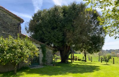Casa de campo à venda Melide, Cabazás, Galiza, Terraza y jardín