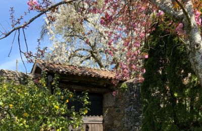 Casa de campo à venda Melide, Cabazás, Galiza, Entrada para carruagens
