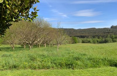 Casa de campo à venda Moeche, Sta Cruz de Moeche, Galiza, Propriedade