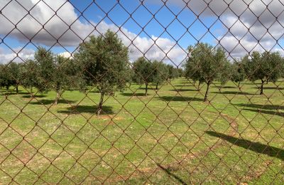 Casa de campo à venda Almagro, Almagro, Castela-Mancha, Propriedade