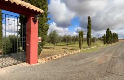 Casa de campo à venda Almagro, Almagro, Castela-Mancha, Acesso