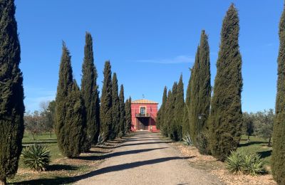 Casa de campo à venda Almagro, Almagro, Castela-Mancha, Entrada arbolada con cipreses