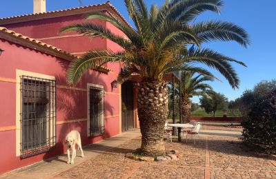 Casa de campo à venda Almagro, Almagro, Castela-Mancha, Fachada