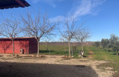 Casa de campo à venda Almagro, Almagro, Castela-Mancha, Propiedad con almendros